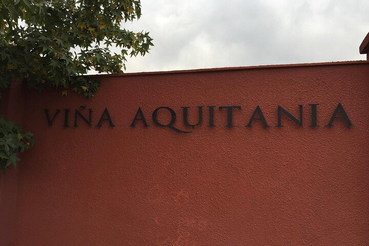 Private San Antonio, Visit Aquitania Winery & Transfer Hotel - Photo 1 of 25